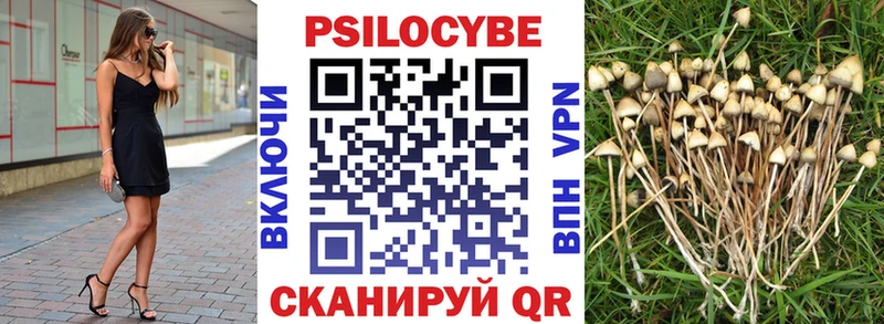 маркетплейс клад  Тосно  Псилоцибиновые грибы Psilocybine cubensis 