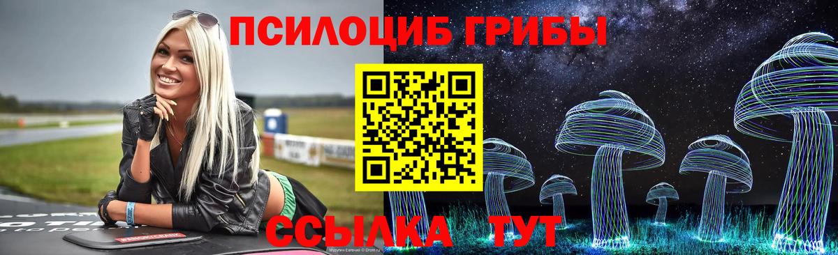 Псилоцибиновые грибы Psilocybe  Вход с VPN  Тосно  Галлюциногенные грибы мухоморы 