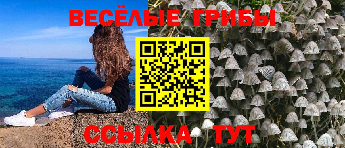 Галлюциногенные грибы прущие грибы Тосно