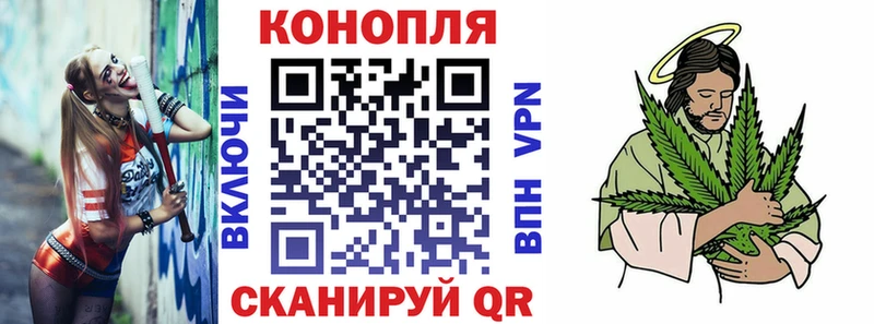 даркнет сайт  Тосно  Шишки марихуана OG Kush 